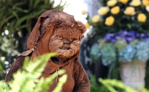 Star Wars