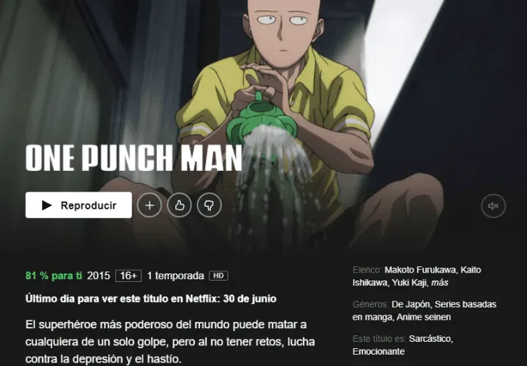 One Punch Man