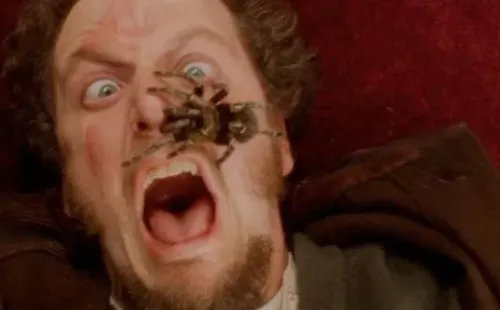 home alone kevin mccallister macaulay culkin joe pesci daniel stern