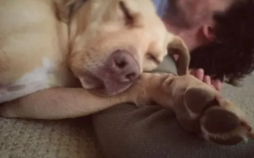 Ian Somerhalder y uno de sus perros. Foto: (@iansomerhalder)