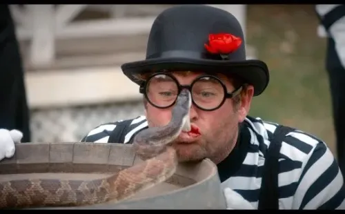 jackass forever