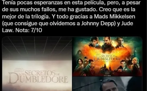 Twitter animales fantásticos