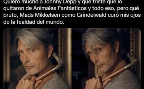 Twitter animales fantásticos