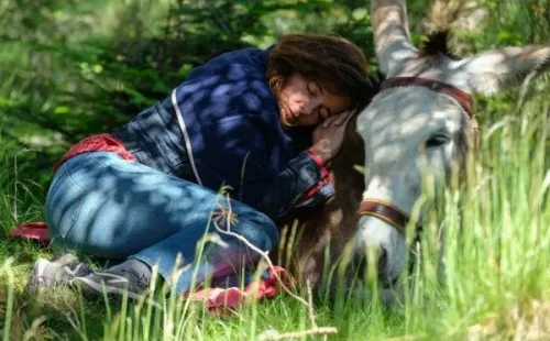 my donkey my lover and I