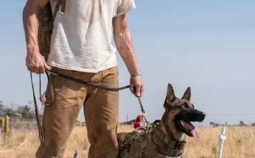 Channing Tatum en Dog, un viaje salvaje. Foto: (Diamond Films)