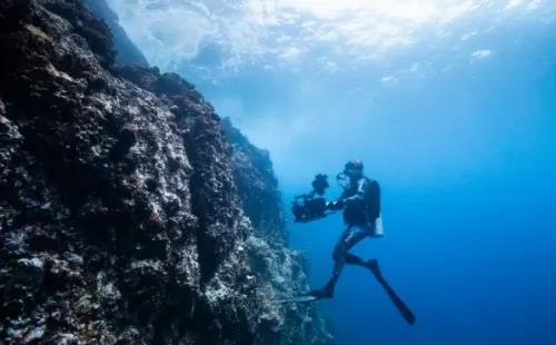 Las Aventuras de Bertie Gregory