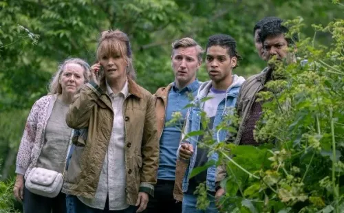 Harry Wild (Acorn TV).
