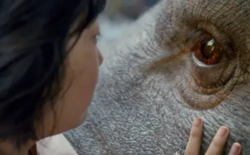 okja netflix