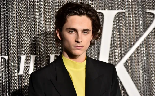 timothee chalamet