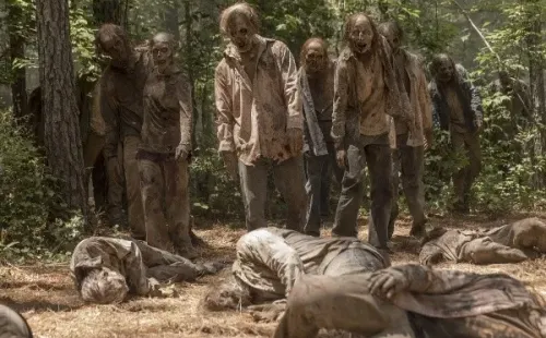 the walking dead amc