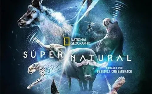 Super/Natural (Disney+).