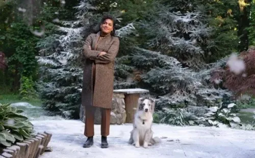 Justin Hartley y Barrett Doss protagonizan The Noel Diary en Netflix (IMDb).