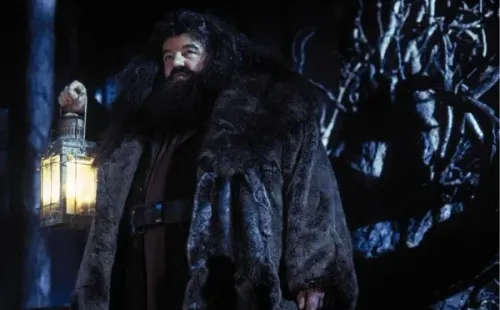robbie coltrane hagrid harry potter