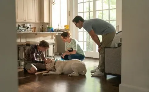 Perro Perdido es una historia emocionante. Foto: (Netflix)