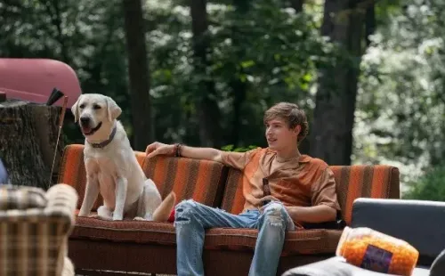 Perro Perdido es un éxito. Foto: (Netflix)