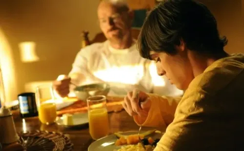 breaking bad rj mitte