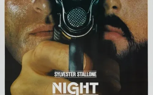 halcones de la noche