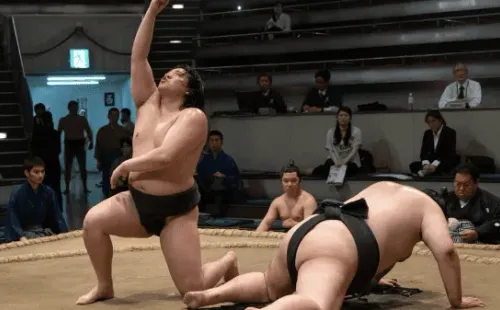 El aprendiz de sumo, la serie japonesa que triunfa en la plataforma de streaming (Netflix).