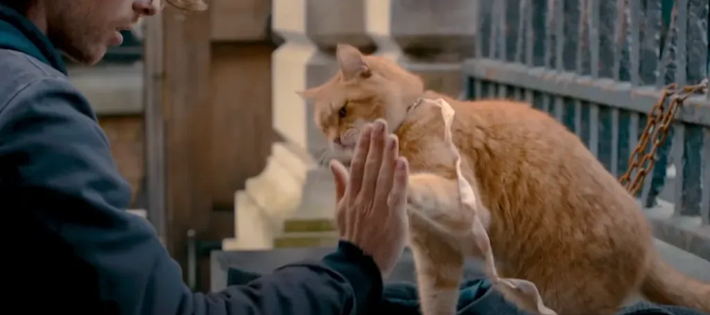 Imagen: @RottenTomatoesTRAILERS.