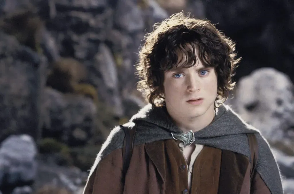 Frodo. (IMDb)