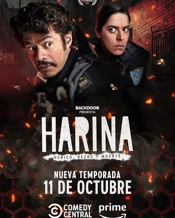 Poster con el que se confirmó el estreno de la temporada 2 de esta cómica serie. Imagen: @soymemovillegas.