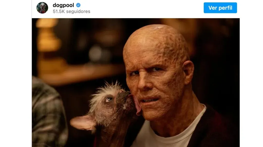 Veremos a Dogpool por primera vez. (IMDb)