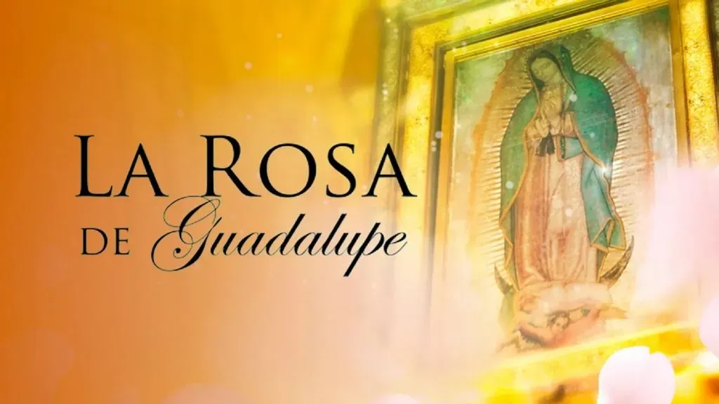 La Rosa de Guadalupe, telenovela furor de México.