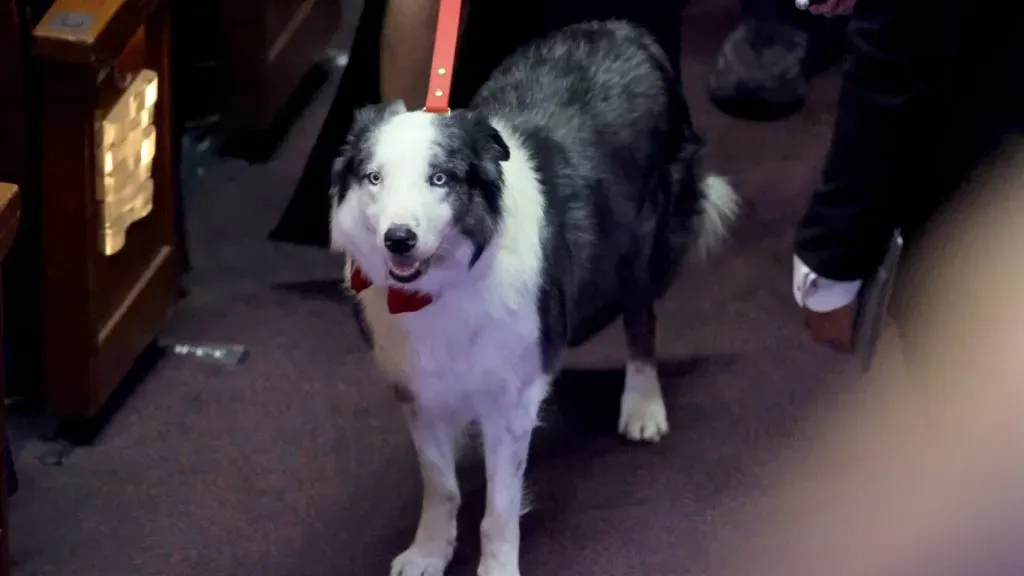 ‘Messi’ es una estrella de Hollywood