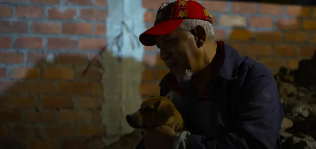 En esta película presenciamos el inagotable amor entre un humano y su perro. Imagen: @bamboopictures5246.