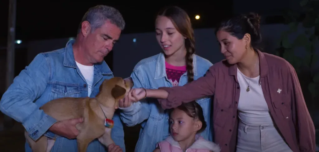 Imagen: @bamboopictures5246.