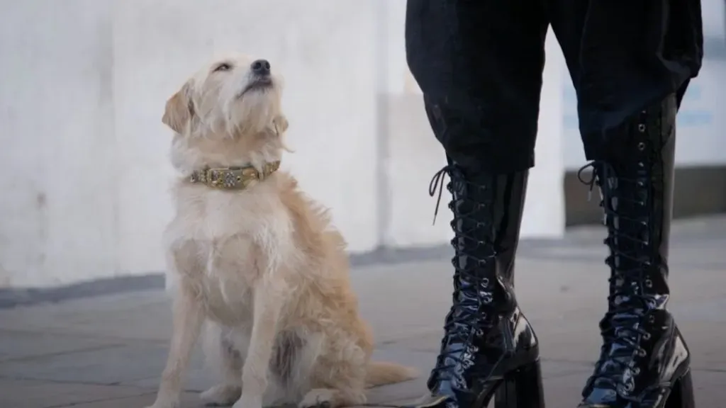 ‘Bobby’ en la película que lo lanzó a la fama (Youtube: Revista Cinerama)