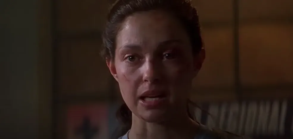 Imagen: @TrailerTrackerEnglish.