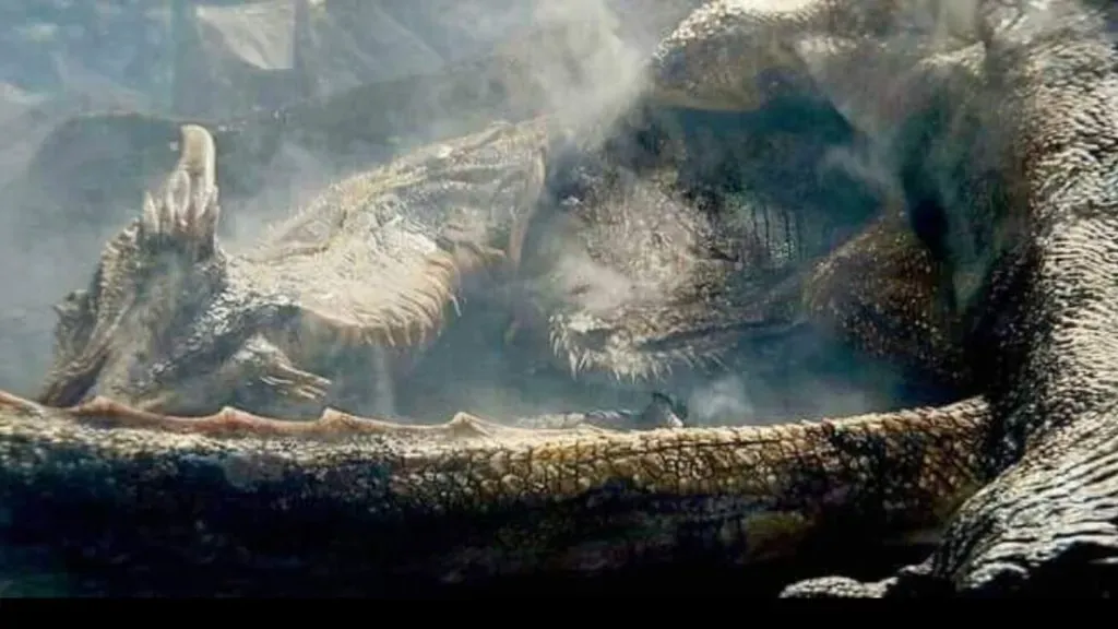 HBO (Max)