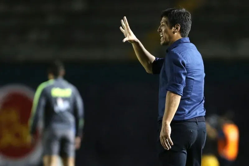 Mauro Camoranesi | Imago7