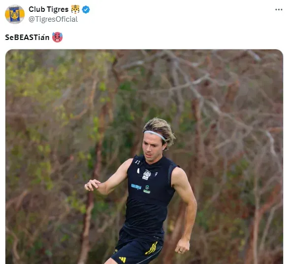 Publicación de los Tigres.
