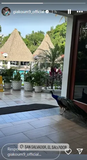 Publicación de Giakoumakis (IG Giorgos)