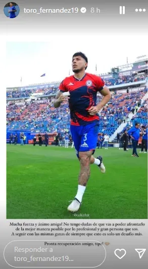 Publicación del Toro Fernández