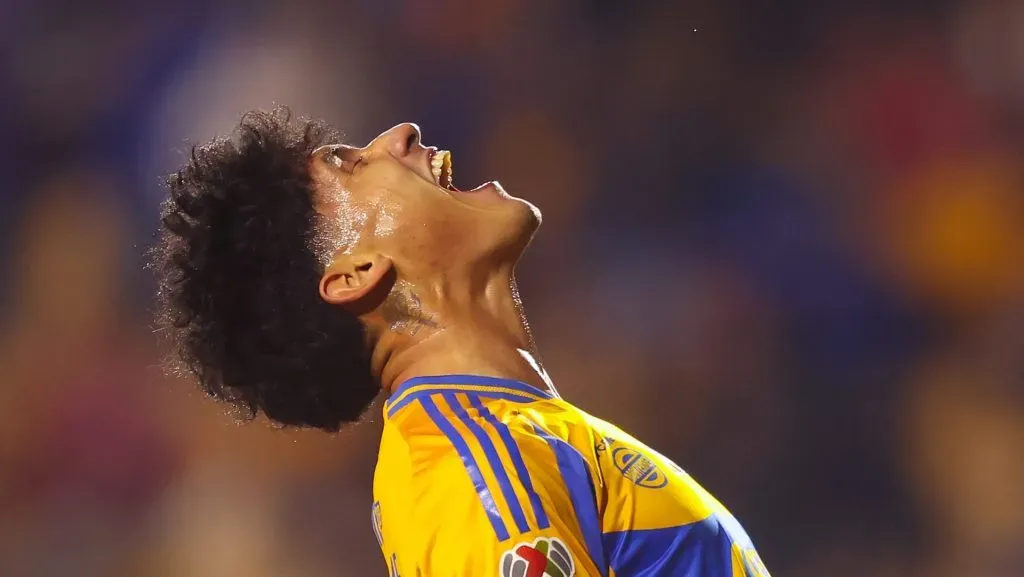 El delantero mexicano no ha encontrado su mejor versión con Tigres. (Imago7)