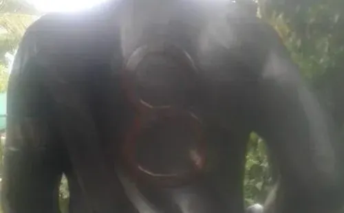 La estatua de Chamaco Valdés/ Fotos: Sebastián Olivares y Radio Cooperativa