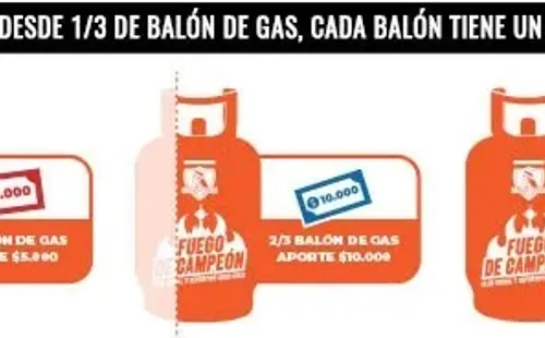 Los aportes que se pueden hacer para la campaña / FOTO: CSD Colo-Colo