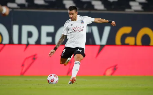 Zaldivia disponible