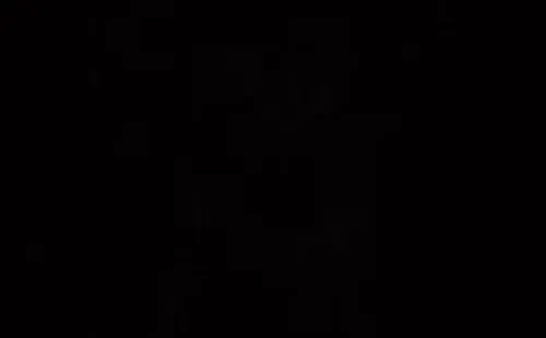 La estupidez de Castillo