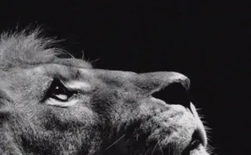 La publicación de Joan Cruz en su Instagram personal. | Foto: Captura.