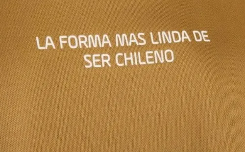 La camiseta conmemorativa de Colo Colo para mujeres | Imagen: Adidas