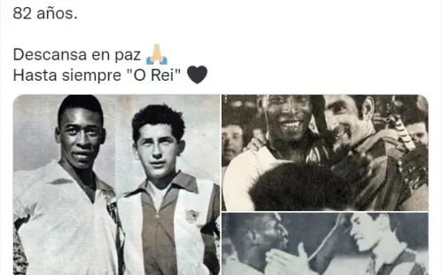 Colo Colo