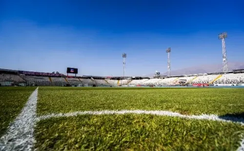 Colo Colo utilizó en su nuevo césped Festuca, semilla con grandes beneficios. / Foto: Guillermo Salazar
