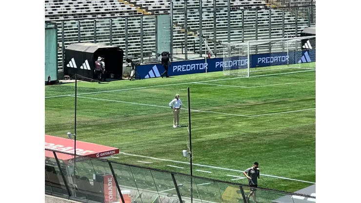 (Foto: DaleAlbo)