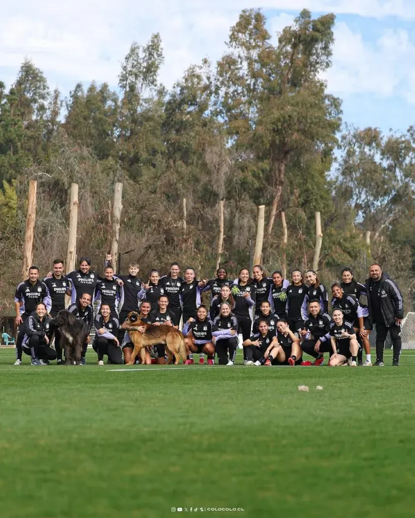 Colo Colo Femenino se prepara para volver a las canchas en la Torneo Nacional. Imagen: Colo Colo Femenino