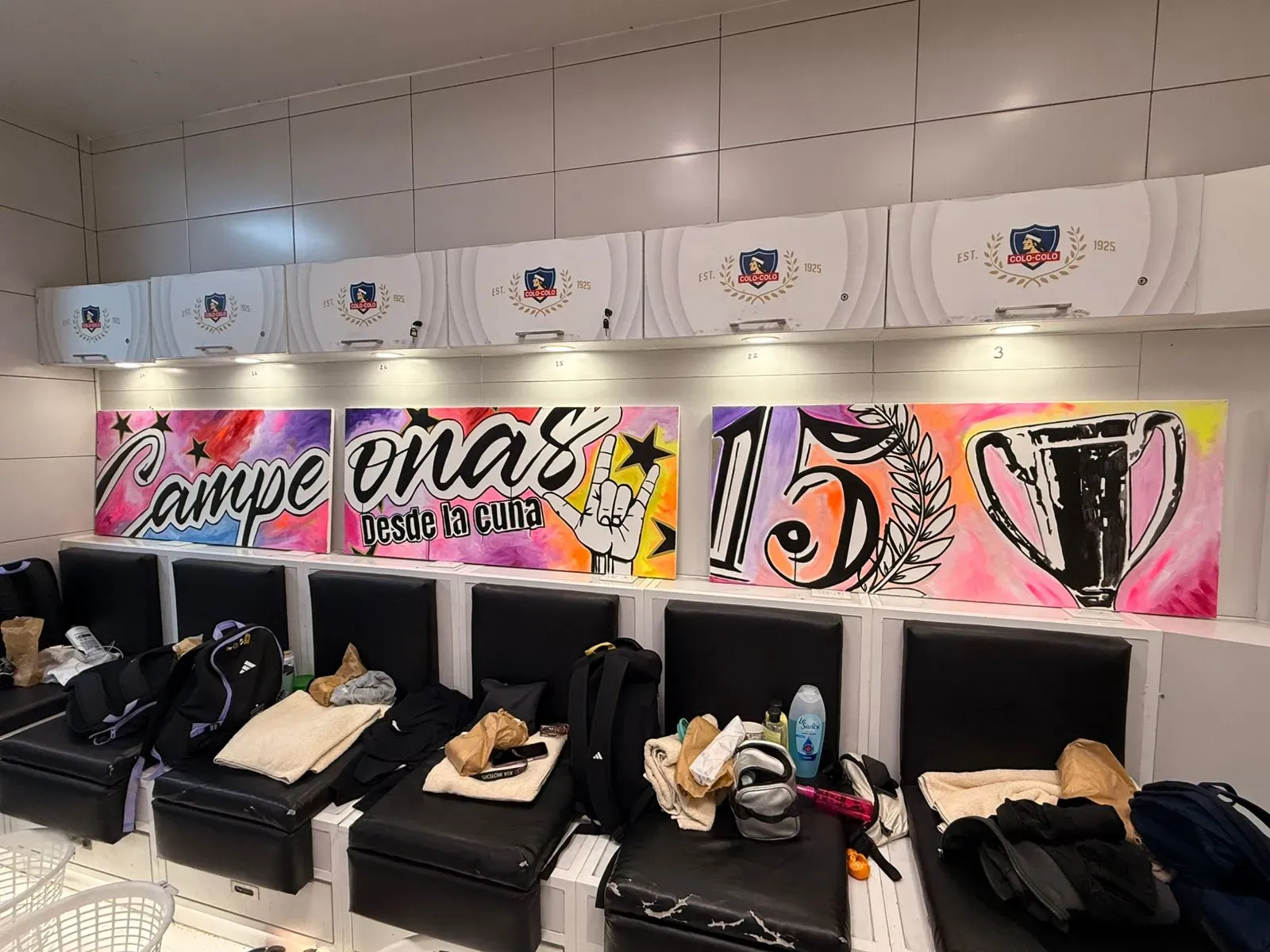 Tres de las 15 obras de arte que adornan el camarín de Colo Colo. Imagen: Cedida a Dale Albo