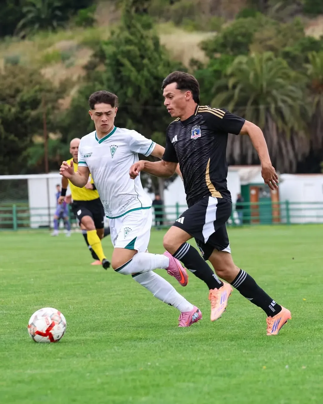Según La Tercera, Colo Colo es parte de los clubes que apoya un cambio revolucionario para los torneos del Fútbol Joven desde 2026. Foto: Colo Colo Fútbol Joven.